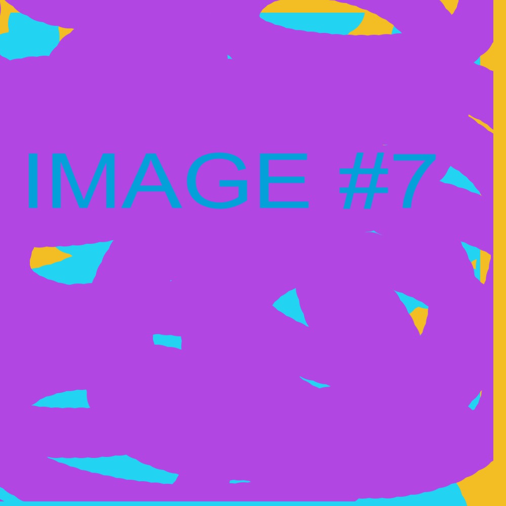 Image 7 description